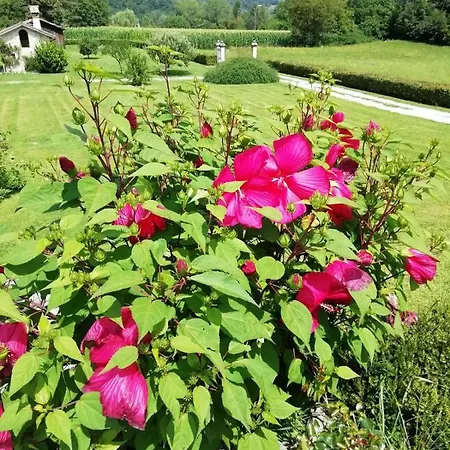 ヴィラ Casa Chiaramada ベッルーノ